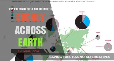 Uneven Fossil Fuel Distribution: Earth's Geological History Explained