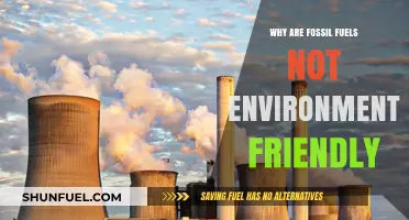 Fossil Fuels' Environmental Impact: Harmful Effects and Unsustainable Practices