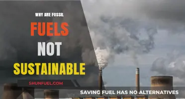 Fossil Fuels' Unsustainable Future: Environmental Impacts and Renewable Alternatives