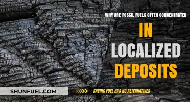 Localized Fossil Fuel Deposits: Uncovering the Geologic Secrets Behind Their Concentration