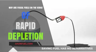 Fossil Fuels' Imminent Collapse: Causes and Consequences of Rapid Depletion