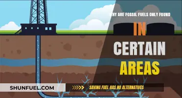 Unearthing the Mystery: Why Fossil Fuels Are Geographically Limited