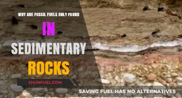 Fossil Fuels and Sedimentary Rocks: Uncovering the Ancient Connection
