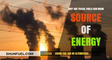 Fossil Fuels Dominance: Unraveling Their Role as Primary Energy Source