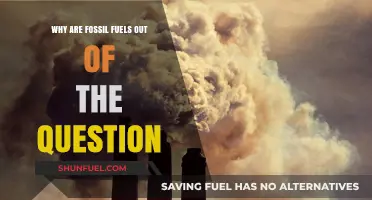 Fossil Fuels: Why They're No Longer a Viable Energy Option