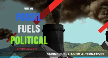 Fossil Fuels: Power, Politics, and the Global Energy Divide Explained