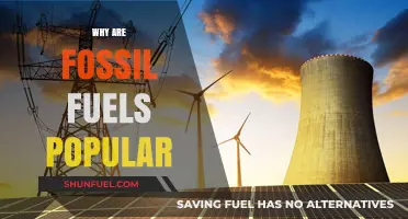 Why Fossil Fuels Remain Dominant: Exploring Their Enduring Popularity