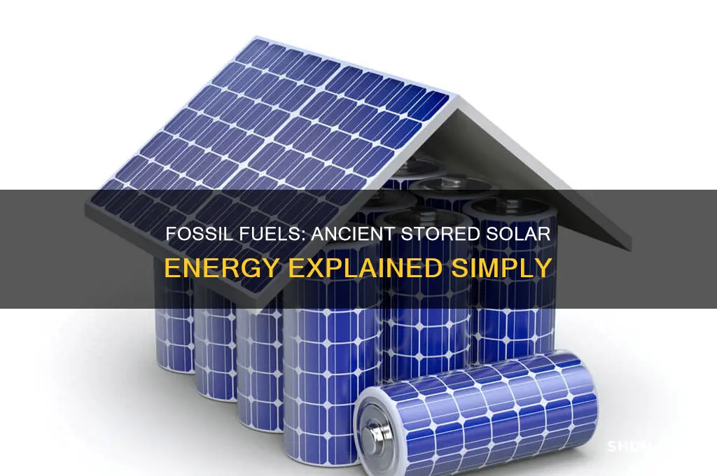 why are fossil fuels said to be stored solar energy