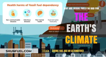 Fossil Fuels' Devastating Impact on Earth's Climate: A Critical Analysis