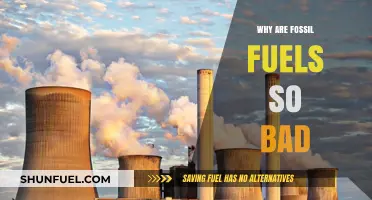 The Dark Side of Fossil Fuels: Environmental and Health Impacts