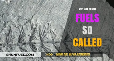 Unveiling the Origins: Why Fossil Fuels Earned Their Iconic Name