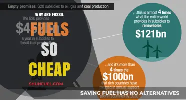 Why Fossil Fuels Remain Cheap: Uncovering the Hidden Subsidies