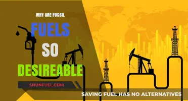 The Allure of Fossil Fuels: Uncovering Their Desirability and Impact