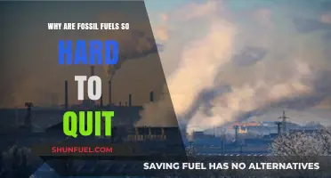 The Stubborn Grip: Why Fossil Fuels Resist Replacement in Energy