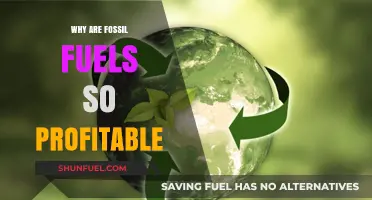 The Profitability of Fossil Fuels: Uncovering the Economic Drivers