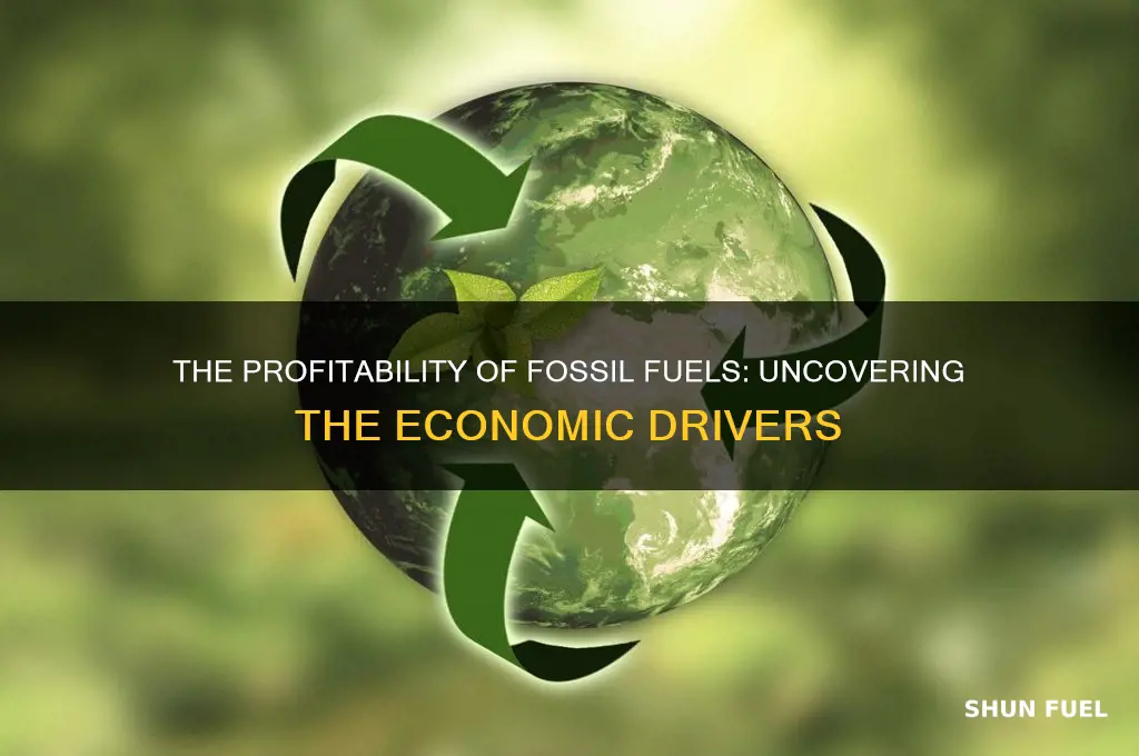 why are fossil fuels so profitable