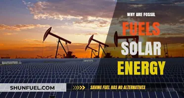 Fossil Fuels: Ancient Solar Energy Stored Underground for Millennia