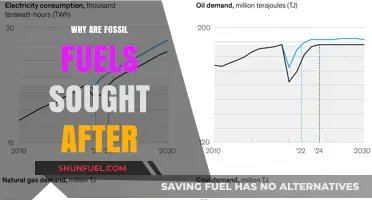 Why Fossil Fuels Remain Highly Sought After: Energy, Economics, and Demand