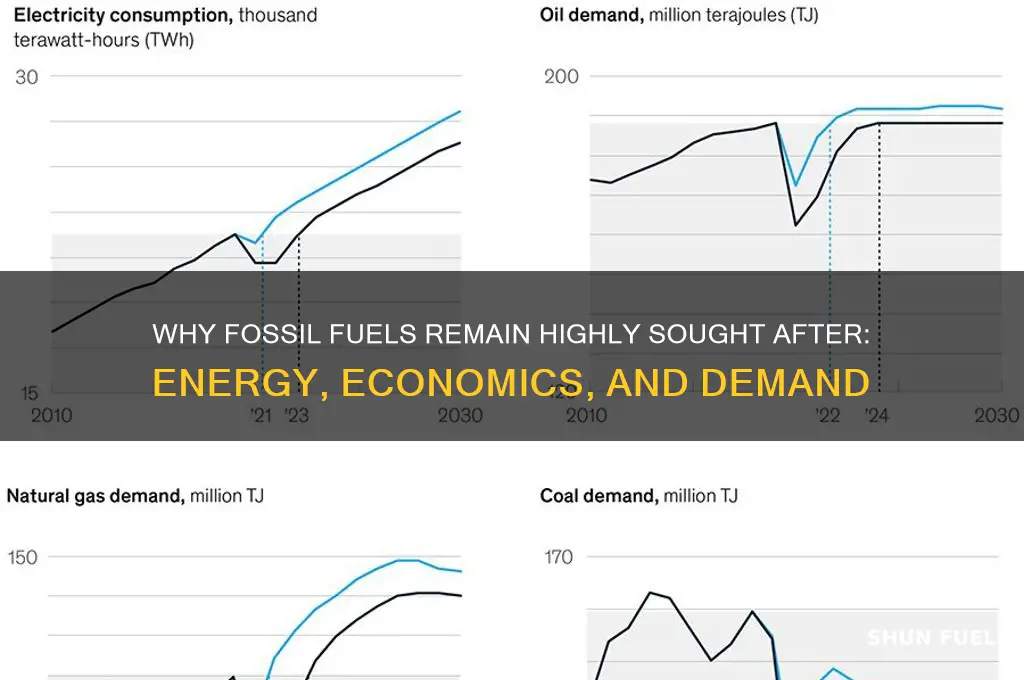 why are fossil fuels sought after