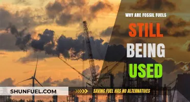 Fossil Fuels' Persistent Grip: Unraveling the Reasons Behind Their Continued Use