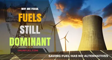 Why Fossil Fuels Remain Dominant: Unraveling the Persistent Energy Reliance