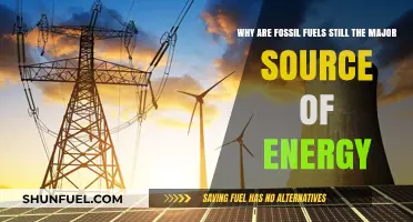 Fossil Fuels Dominance: Why They Remain the Primary Energy Source