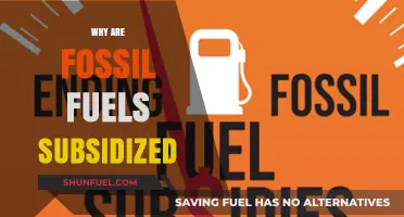 Why Governments Still Subsidize Fossil Fuels: Uncovering Hidden Costs