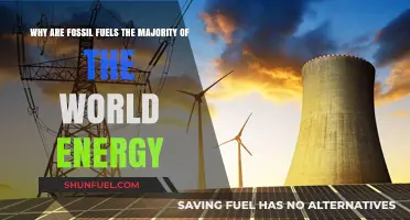 Fossil Fuels Dominance: Unraveling Their Grip on Global Energy Supply