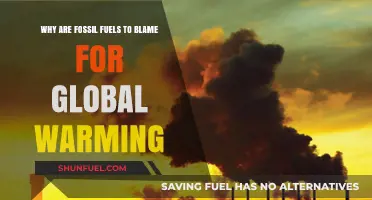 Fossil Fuels: The Primary Culprit Behind Global Warming Explained