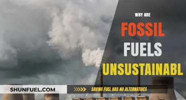 Fossil Fuels' Unsustainable Future: Environmental Impacts and Urgent Alternatives