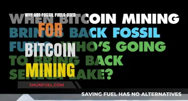 Fossil Fuels Power Bitcoin Mining: Environmental Impact and Energy Choices