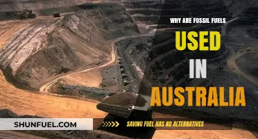 Australia's Energy Reliance: The Persistent Use of Fossil Fuels Explained
