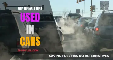 The Dependence of Cars on Fossil Fuels Explained