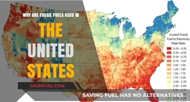 Why Fossil Fuels Remain Dominant in U.S. Energy Consumption