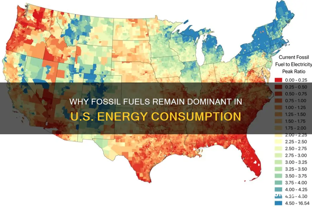 why are fossil fuels used in the united states