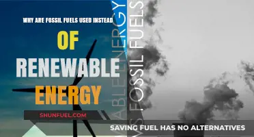 Fossil Fuels vs. Renewables: Why the World Still Relies on Coal, Oil, and Gas