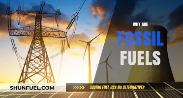 Why Fossil Fuels Remain Dominant: Exploring Their Persistent Global Influence