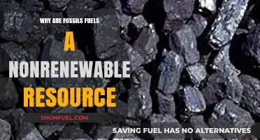 Fossil Fuels: Understanding Their Finite Nature and Nonrenewable Status