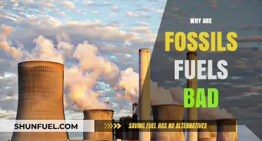 Fossil Fuels' Harmful Impact: Environmental, Health, and Climate Consequences Explained