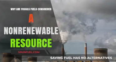 Fossil Fuels: Finite Energy Sources