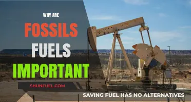 Fossil Fuels: Powering Economies, Industries, and Modern Life Explained