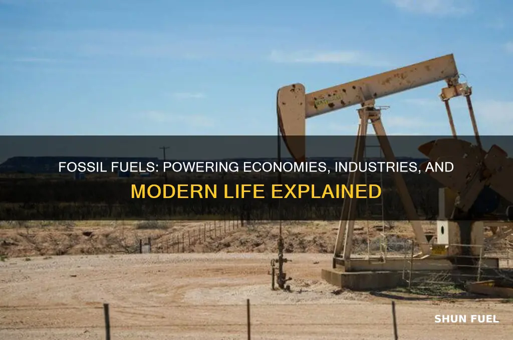 why are fossils fuels important