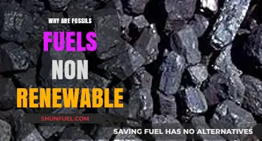 Fossil Fuels: Understanding Their Finite Nature and Non-Renewable Status