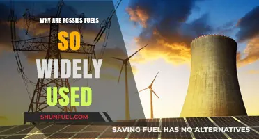 Why Fossil Fuels Remain the World's Dominant Energy Source