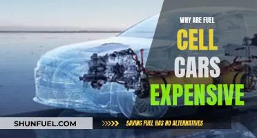 Fuel Cell Cars: Costly Innovation for a Sustainable Future