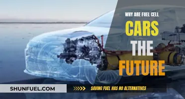 Fuel Cell Cars: The Future of Driving