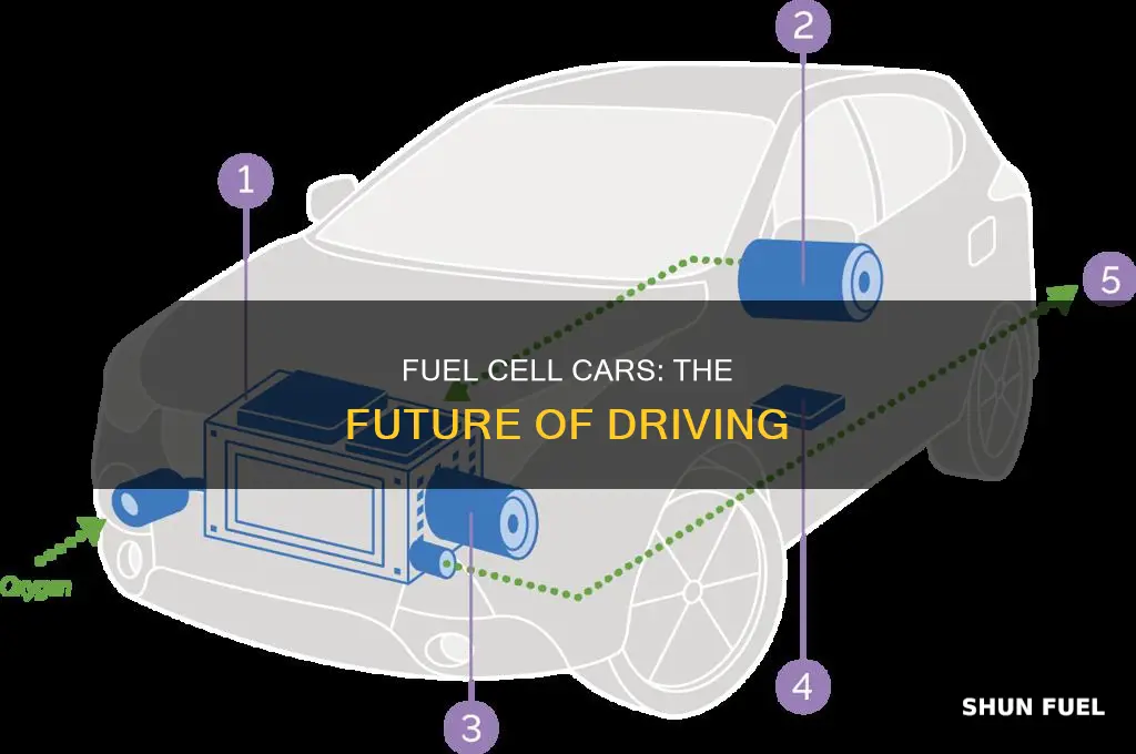 why are fuel cell cars the future