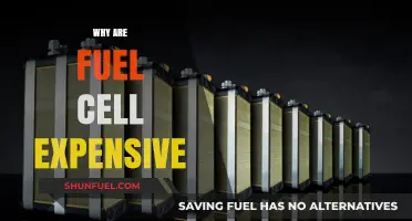 Unveiling the Cost Factors Behind Fuel Cell Technology