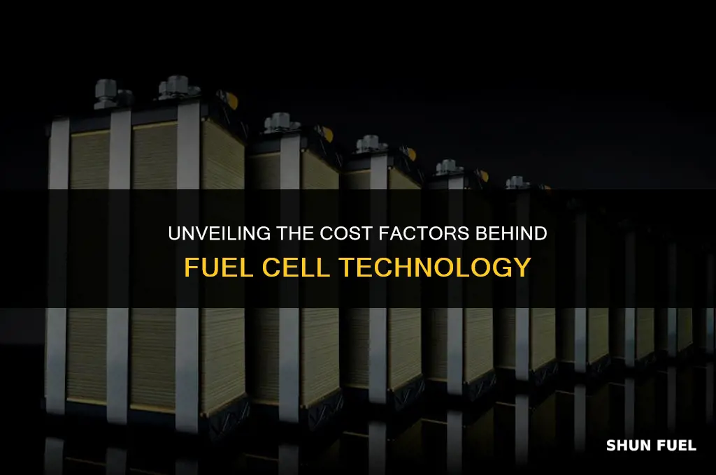 why are fuel cell expensive