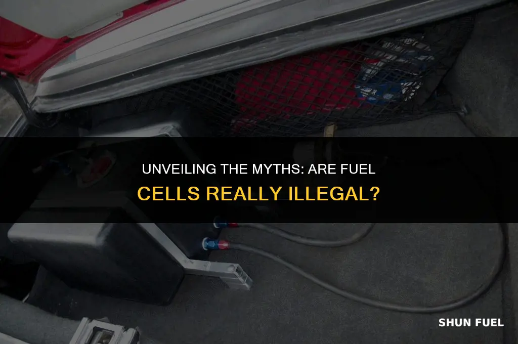 why are fuel cells illegal